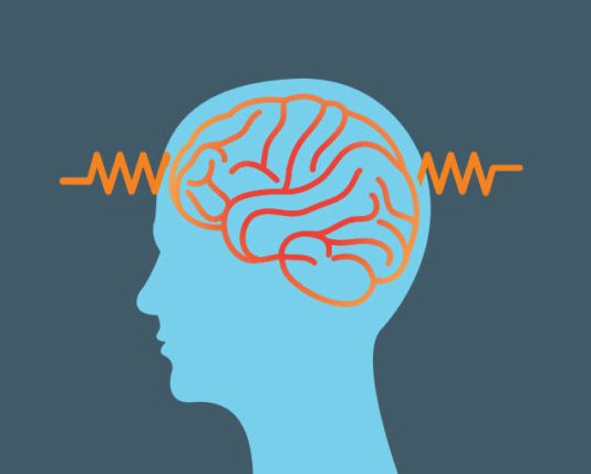 What are the Causes of Epilepsy? The Causes of Epilepsy is disorder that causes periodic seizures and they occurs when the normal electrical impulses in brain are disturbed.