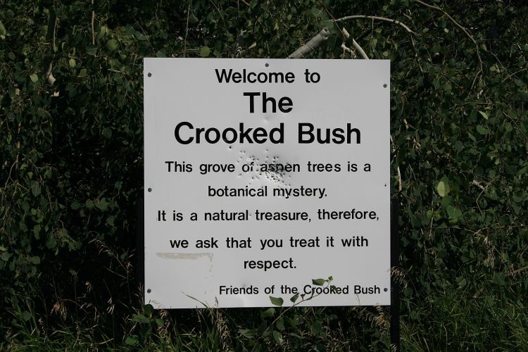 Crooked Bush Sign