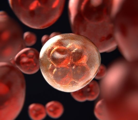 Cancer and Biopsy Cancer and Biopsy - The biopsy is essential for the final diagnosis of any type of cancer. Several methods of biopsy are used.