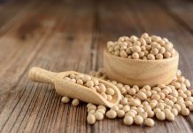 Why Soybeans are Beneficial? Soybeans belong to the pea family. It is a type of legume plant that is widely grown around the world.