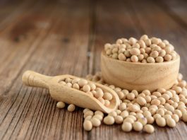 Soybeans belong to the pea family. It is a type of legume plant that is widely grown around the world.