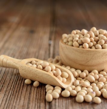 Why Soybeans are Beneficial? Soybeans belong to the pea family. It is a type of legume plant that is widely grown around the world.