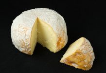 Is Cheese Bad for You or Healthy Food? Is Cheese Bad for You or Healthy Food? This question often comes in human minds. For almost 8,000 years, a variety of cheeses have been made from milk around the world.