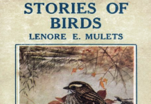 Stories of Birds