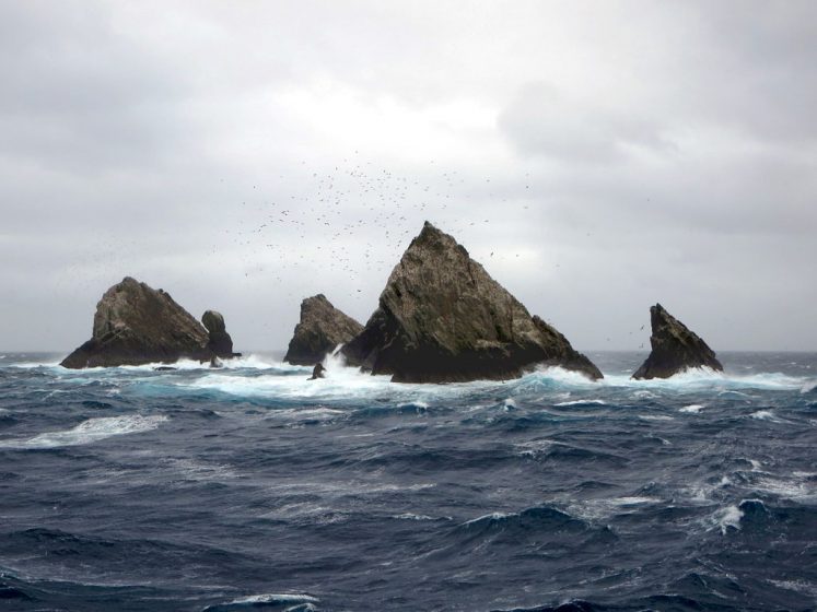 The Shag Rocks are six small islands in the westernmost extreme of South Georgia, 240 km west of the main island of South Georgia and 1,000 km off the Falkland Islands.