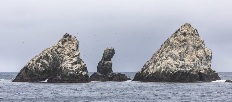 The Shag Rocks form part of the British overseas territory of South Georgia and the South Sandwich Islands.