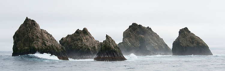 Shag Rocks has been the site of several shipwrecks. The history tells us, that in 1762, Shag Rocks (Islas Aurora) discovered by Jose de la Llana with the Spanish Ship Aurora.