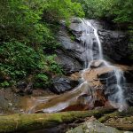 Log Hollow Falls is a 25ft waterfall in the Pisgah National Forest, Carolina. A steep cascade with several sections of free-falling water.