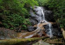 Log Hollow Falls North Carolina – United States Log Hollow Falls is a 25ft waterfall in the Pisgah National Forest, Carolina. A steep cascade with several sections of free-falling water.