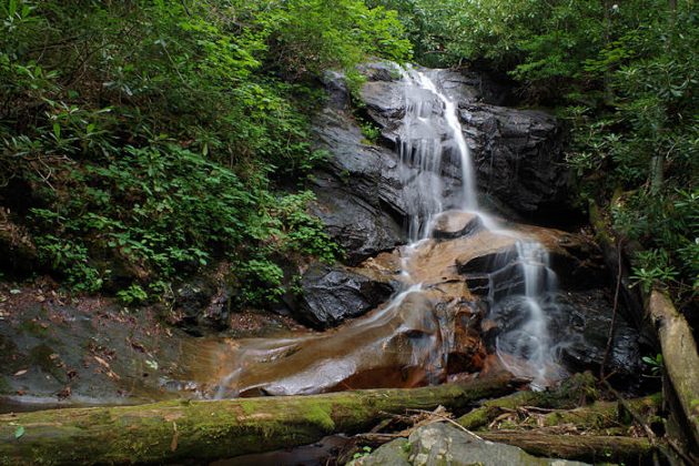 Log Hollow Falls North Carolina - United States - Charismatic Planet