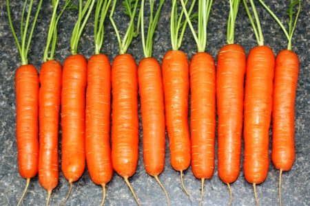 How to Grow Best Flavors and Sweet Carrots - Carrots have now come in all shapes and sizes; the traditional long, tapered ones; short stubby ones; tiny fingerlike ones; even little round ones.