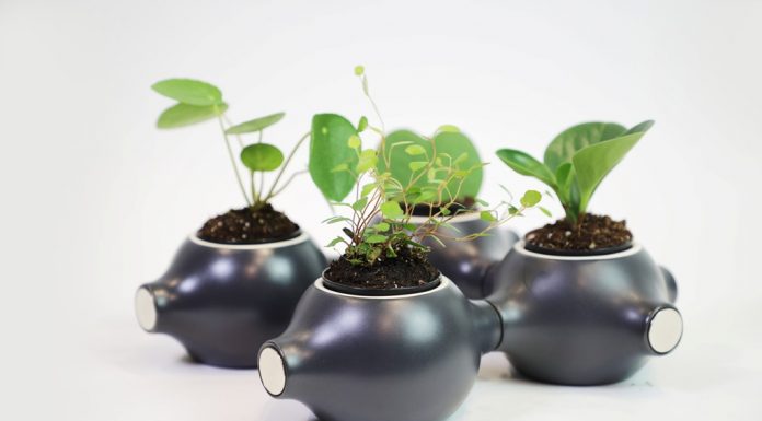 Bring Creativity and Greenery to your Life with Magnapot Even small kids (or big artists!) can draw on Magnapots and have some fun.