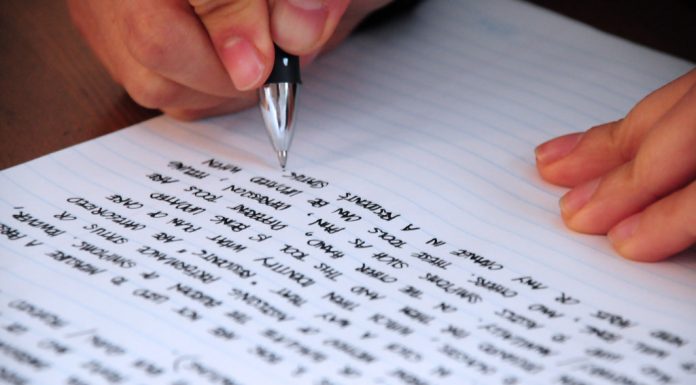 Irreplaceable Persuasive Essay Help