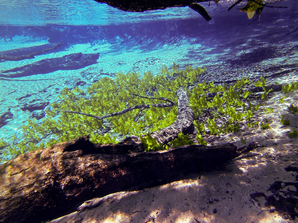 Cypress Springs of Vernon, Florida