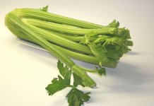 Celery – Helps to Calm the Nerves Naturally CELERY helps calm the nerves naturally, according to Hippocrates. It is perhaps because of its rich calcium content.