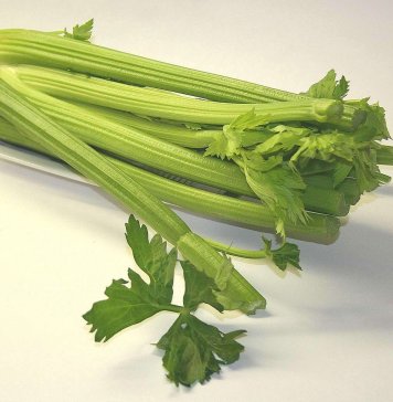 Celery – Helps to Calm the Nerves Naturally CELERY helps calm the nerves naturally, according to Hippocrates. It is perhaps because of its rich calcium content.