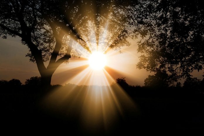 Sunlight for Vitamin D - The latest study reveals that getting sunlight in the morning is best for your health.