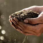 5 Reasons Why You Should Add Clay Soil to Your Garden
