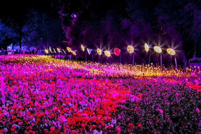 The Floriade Canberra festival is a major event that is held in the Australian capital city of Canberra every spring.