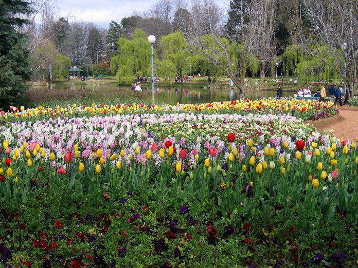 Visitors can wander through beautiful gardens filled with blooming flowers of all shapes and sizes.