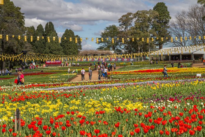 The flower-filled gardens and exciting program of events make it one of the top festivals in Australia.