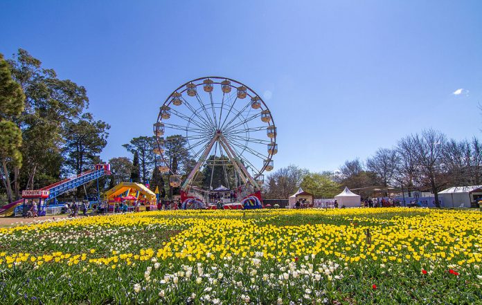 Floriade is an annual event that started in 1988 as a one-off celebration of Canberra’s 75th anniversary,