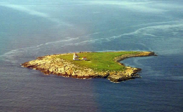Machias Seal Island has been claimed by both the United States and Canada at various points in history, and the dispute over sovereignty is still ongoing.