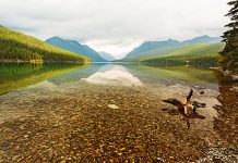 Bowman Lake Rocks Montana – One of America’s Best Kept Secrets