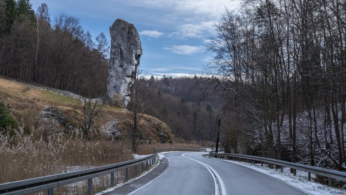 Because of its distinctive shape, it is called the bludgeon (cudgel) of Hercules in Polish.