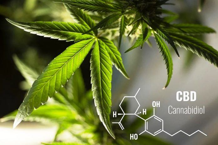 What Are Doctors Saying About CBD?