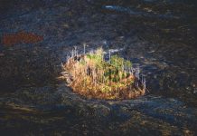 KÄ«puka – A Volcanic Island like No Other