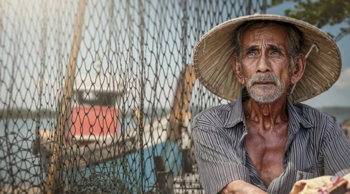 Why Aging is Important – A Complete Guide of Graceful Aging Why Ageing is Important - A Complete Guide of Graceful Ageing