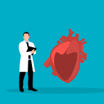 Can Heart Disease Begin in the Gut?