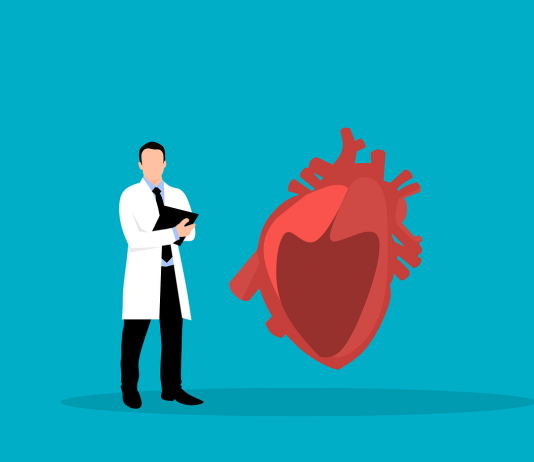 Can Heart Disease Begin in the Gut? Can Heart Disease Begin in the Gut?