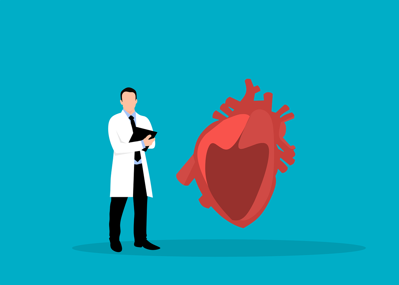 Can Heart Disease Begin in the Gut?