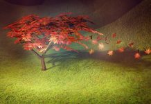 How to Grow Japanese Maple Bonsai? A Japanese Maple Bonsai is a popular tree species in Japan. It has thin, needle-like leaves that touch the ground and are shaped like maple leaves.