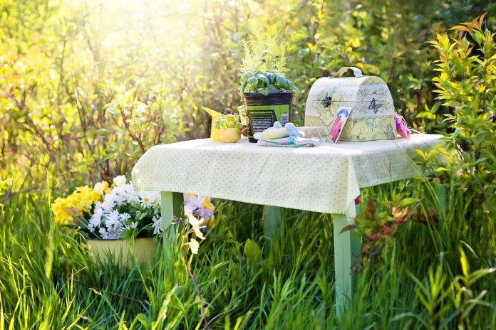 23 Inspiring Herb Garden Ideas to Liven Up Your Yard