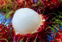 Health Benefits of Rambutan Fruit Health Benefits Rambutan Fruit
