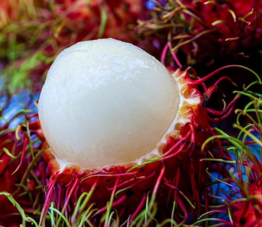 Health Benefits of Rambutan Fruit Health Benefits Rambutan Fruit