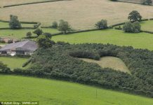 An Ethereal Heart-Shaped Forest Gloucestershire United Kingdom An Ethereal Heart-Shaped Forest Gloucestershire United Kingdom