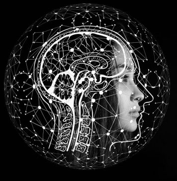 Brain: A Complex Machine That Controls Every Aspect of Our Lives