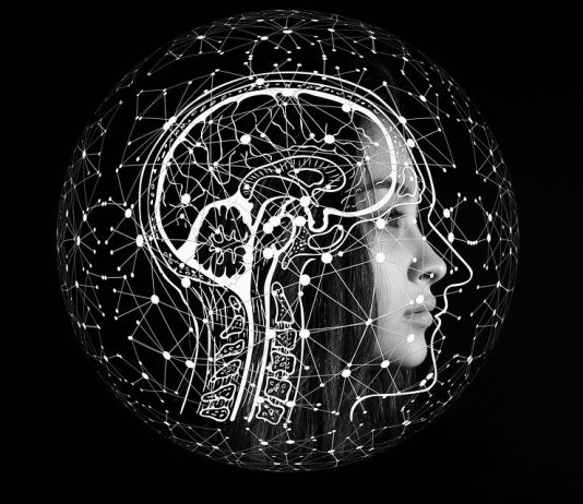 Brain: A Complex Machine That Controls Every Aspect of Our Lives