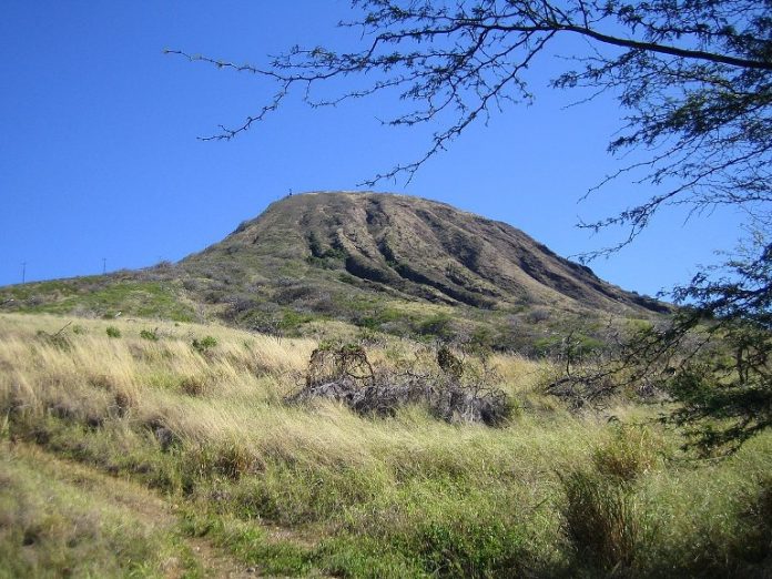 Koko Crater in Oahu, from the base of the old train trail. Within the crater are horse stables and the Koko Craters Botanical Garden specializing in Cacti and Succulents.