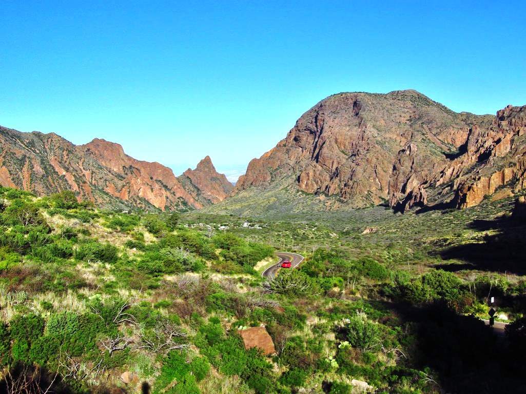 The area encompasses a variety of habitats from river floodplains, to shrub desert, grasslands, pinyon-oak-juniper woodlands, and moist conifer forests in the high Chisos Mountains.