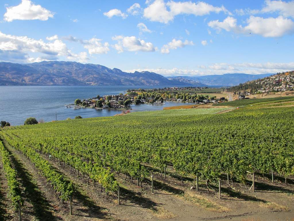 The Okanagan, centered around the Okanogan River (spelled Okanagan in Canada) and Okanagan Lake, lived on what became both sides of the border between northern Washington State in the United States