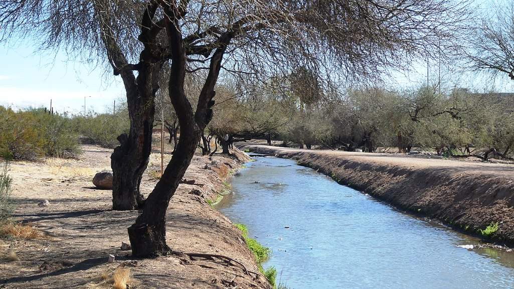 Old canal and mesquite bosque in Papago Park Phoenix