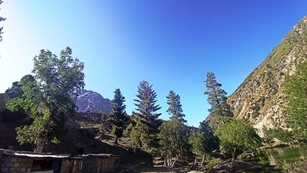 Rainbow Lake and Pine Trees