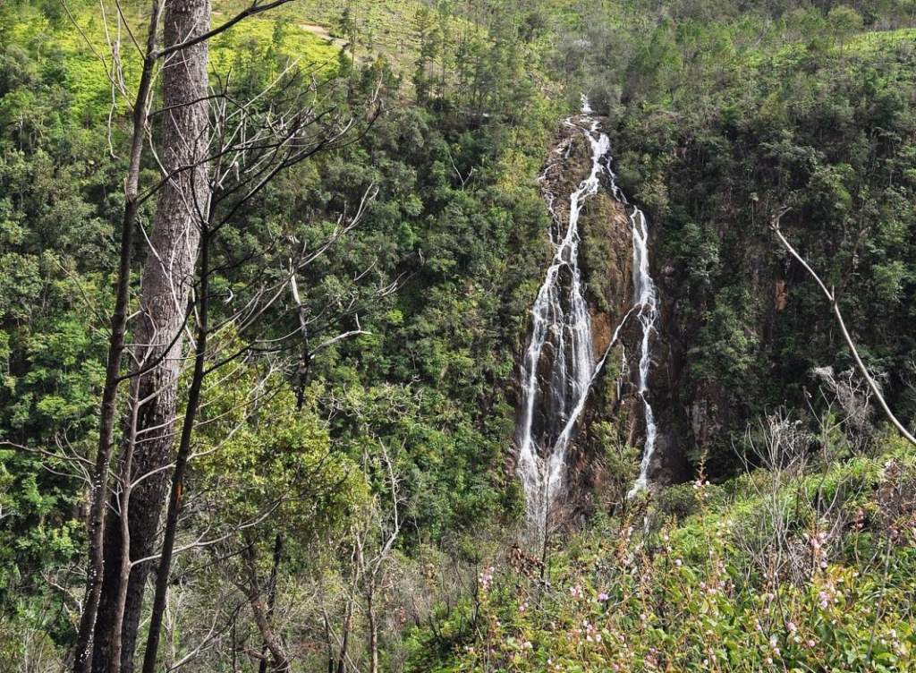Further, to continue for six miles and lead to a point that overlooks what is believed to be the highest waterfall in Central America, called Thousand-foot Falls.