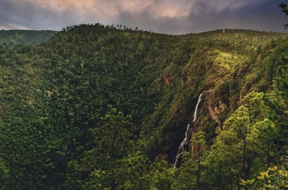 The stunning setting, unaffected by the pine beetle epidemic is worth the drive; and over the gorge, a long, thin waterfall disappears into the densely forested valley below.