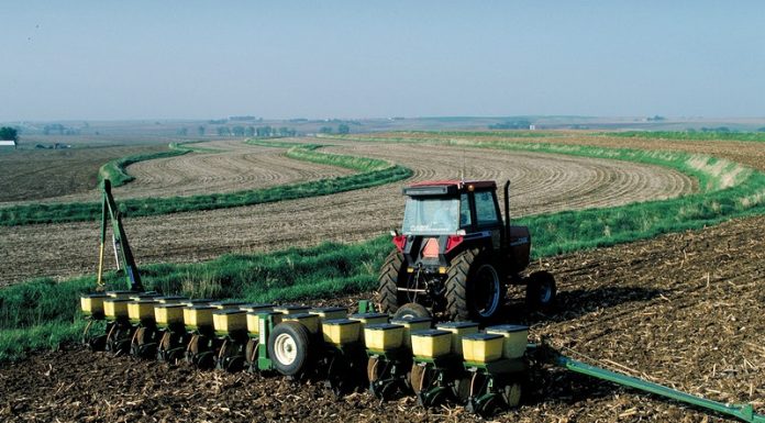 Groundnut planter for everybody Groundnut planter for everybody